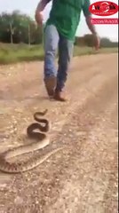 Adam yılanla oynaşıyor 