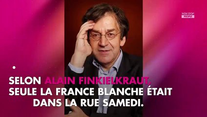 Hommage à Johnny Hallyday - Alain Finkielkraut crée un nouveau scandale sur la Toile