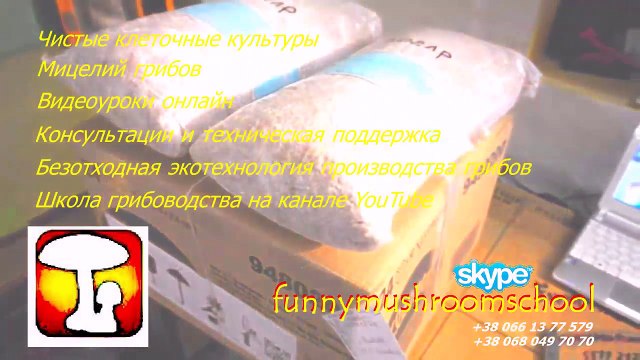 #Вешенка #Справочник #Создание #фермы #Скачать