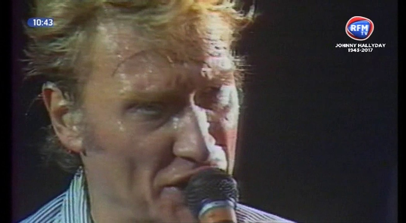 Johnny Hallyday - L'Envie