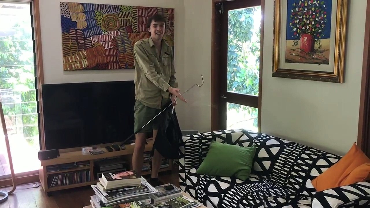 Massive Grumpy 8 Foot Python on a Sofa