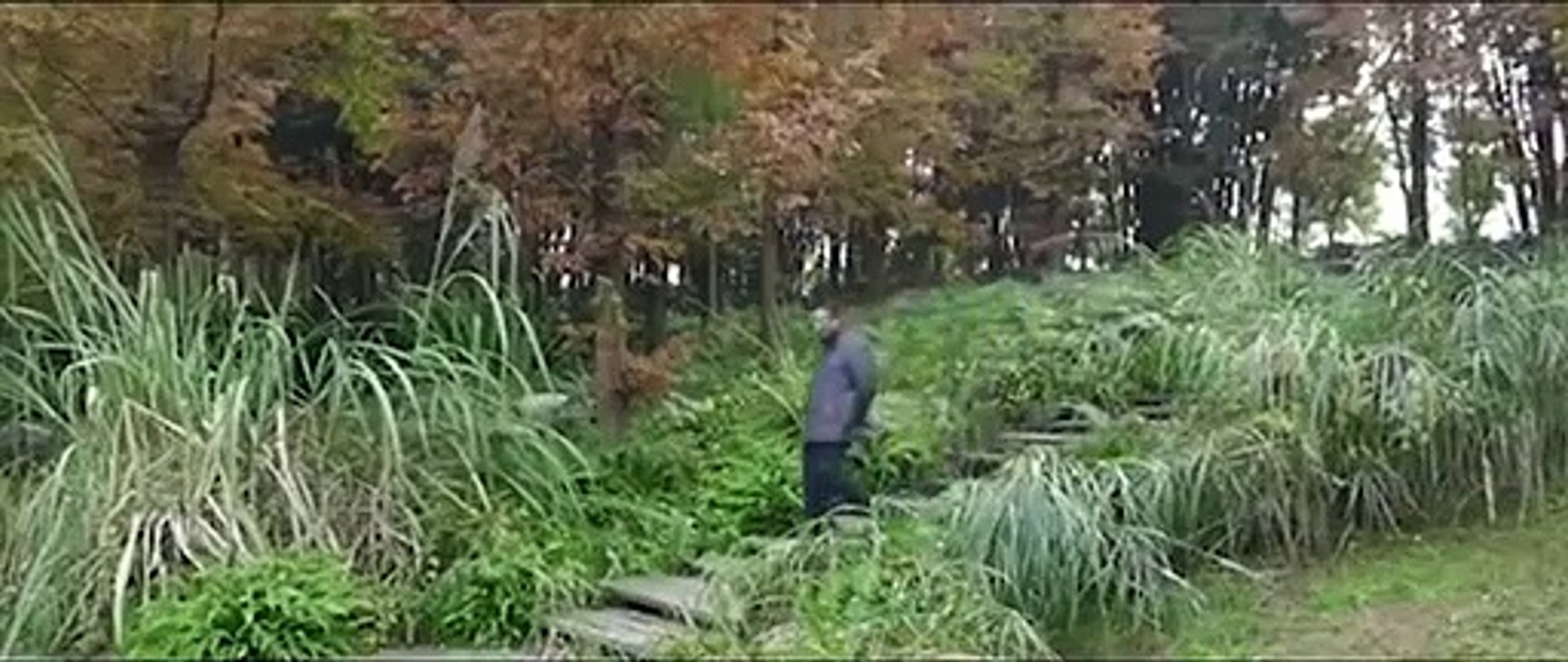 Fully Functional Quantum Invisibility Cloak