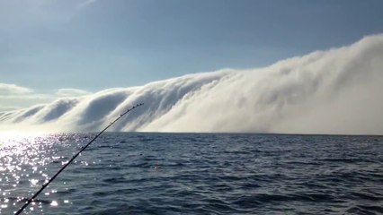 Fin du monde en mode Brouillard qui avale tout sur son passage