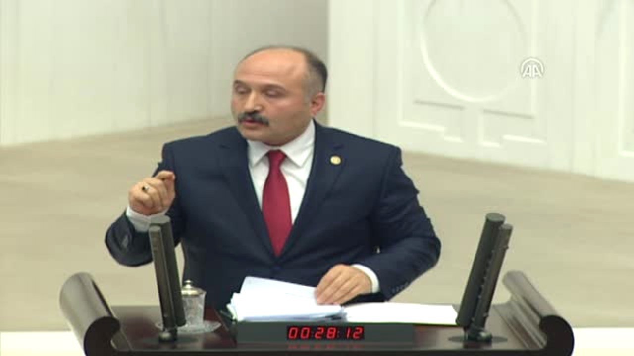 2018 Yılı Bütçesi TBMM Genel Kurulunda - MHP Grup Başkanvekili Usta