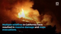 The California Wildfires Have Burned Over 250,000 Acres