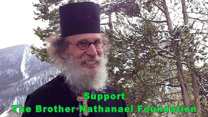 Controversial Cartoons On Goldstone's Retraction