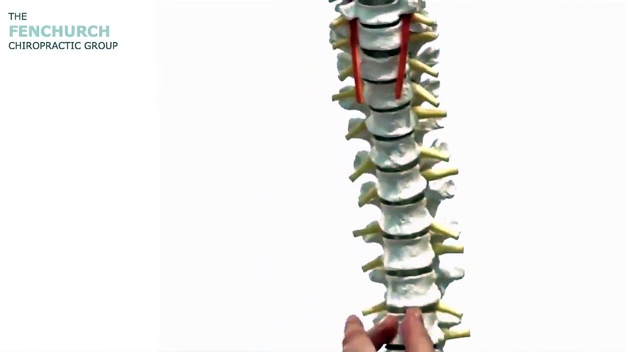 The Fenchurch Chiropractic Group - City of London