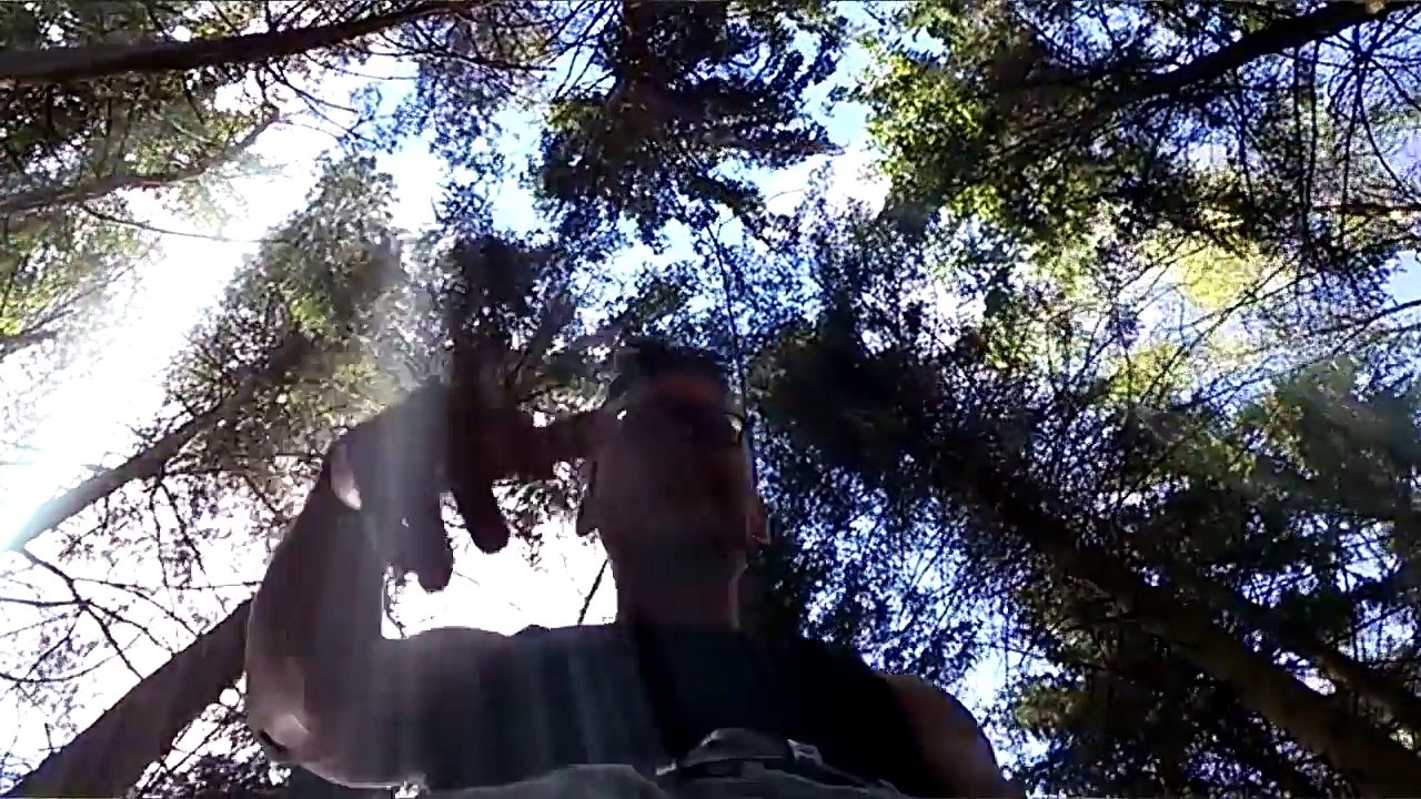 16 Bars Rap Part Hoffnung Lehe FX