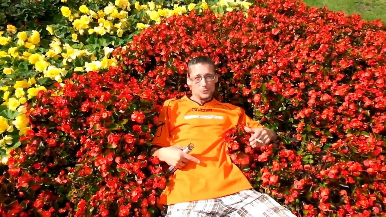 Die Koffer sind gepackt  DREIZUNULL  Sommerlied Sommerhit Sommer