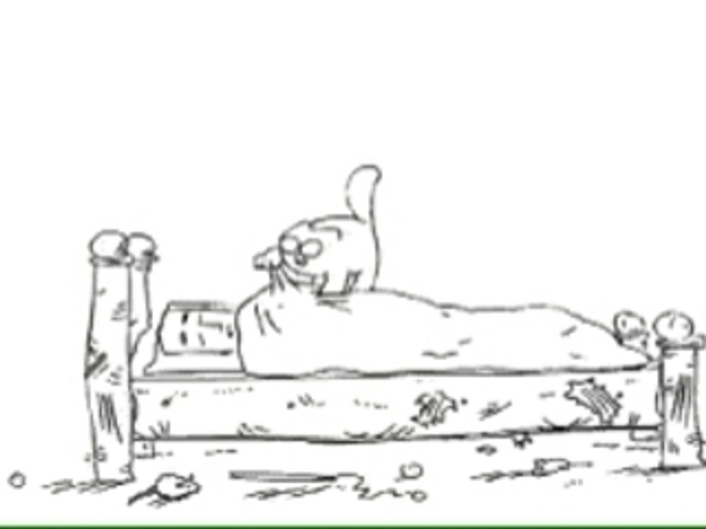 Le Chat A Faim Video Dailymotion