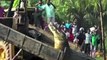 Le plus gros crocodile du monde trouvé en Inde... Animal géant