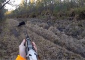 sélection des meilleurs moments de la chasse au sanglier 2017
