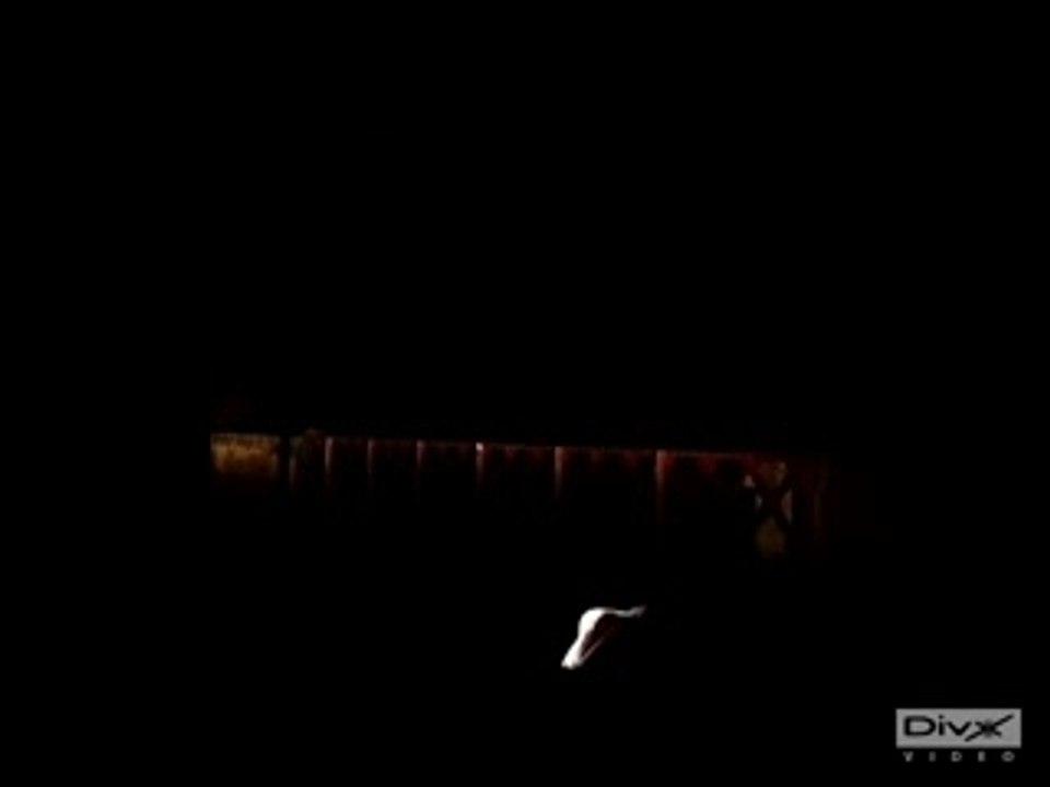 Fiesta ST Milltek sound