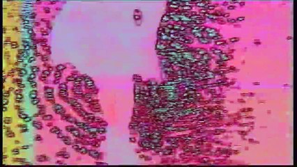 Xiu Xiu - "Into The Night" (Official Music Video)