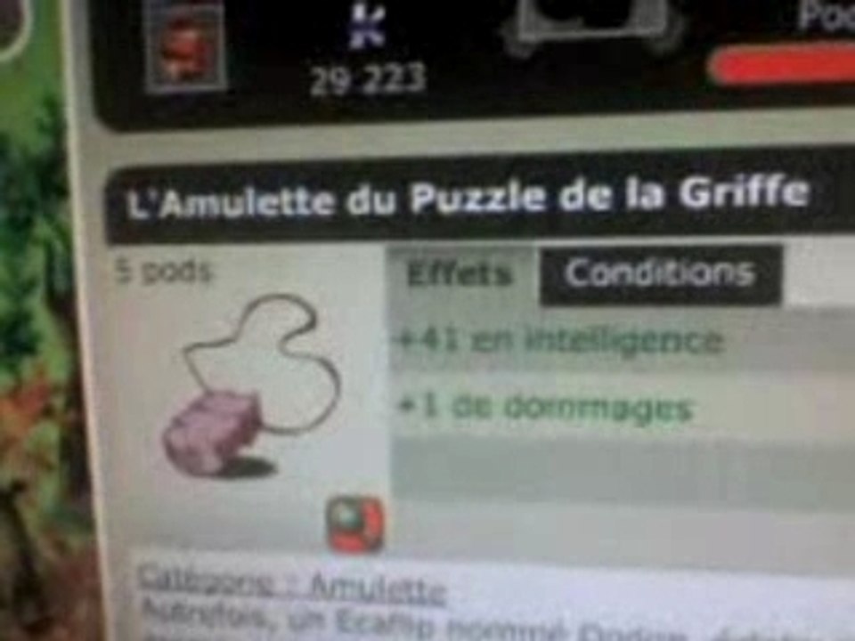 dofus // stats de mon xel lvl 49"shin"