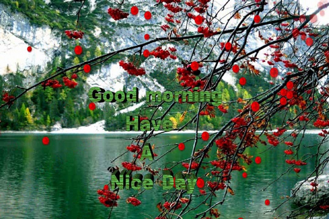 Romantic good morning 3D videos for dailymotion,3D Wallpapers,Nature good morning  Graphics for Facebook