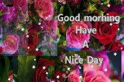 CUte Fresh Good Morning 3D Pictures for facebook,Hd Wallpapers,HD Photos