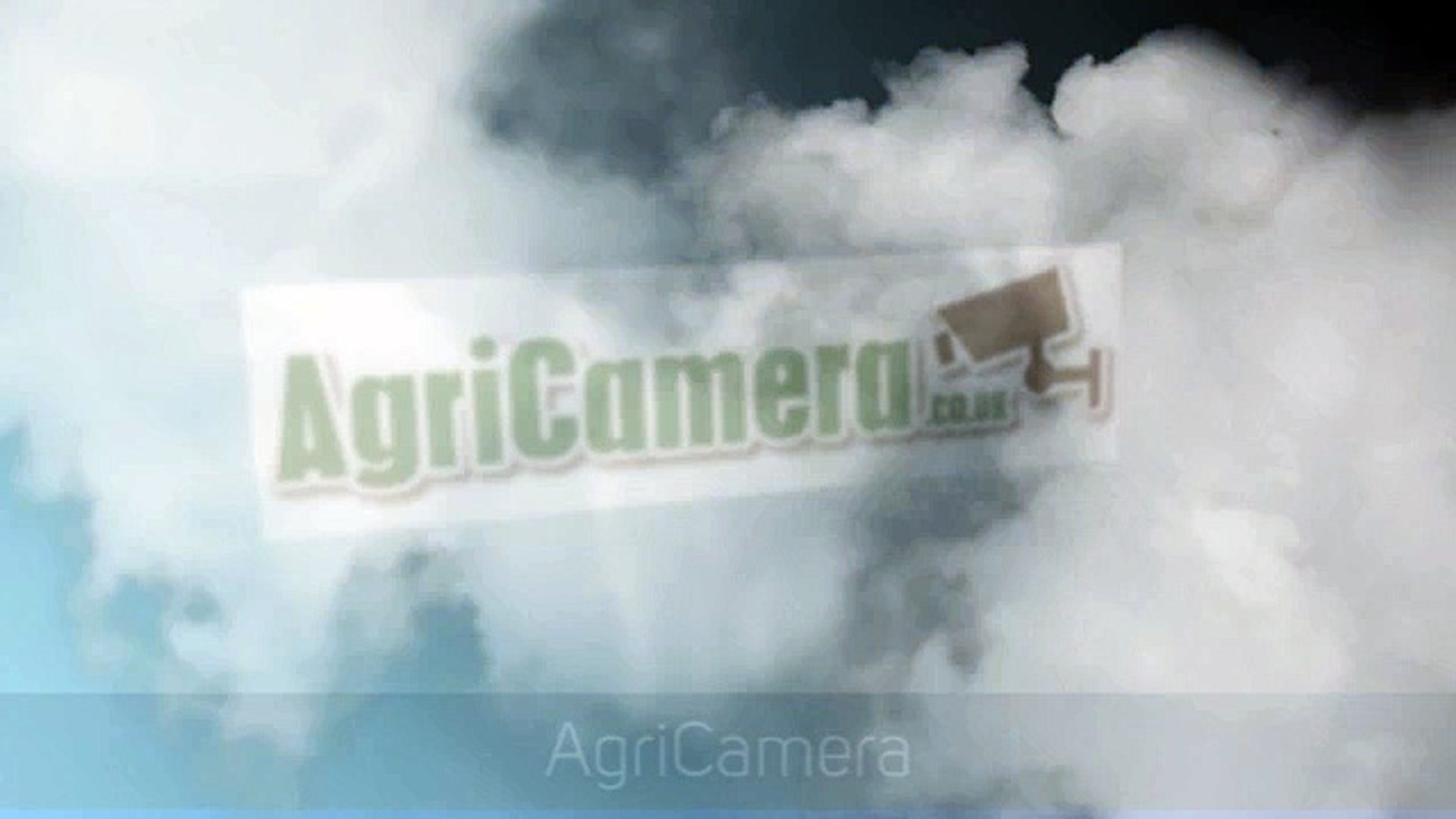 ⁣Calving Cameras