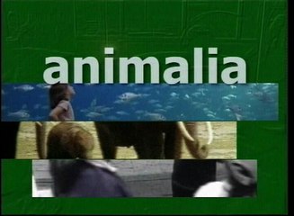 wildlife animals of forest.