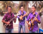 Musica Campesina - El Perezoso - Los Hermanos Ramirez Del Tesoro - Jesus Mendez Producciones