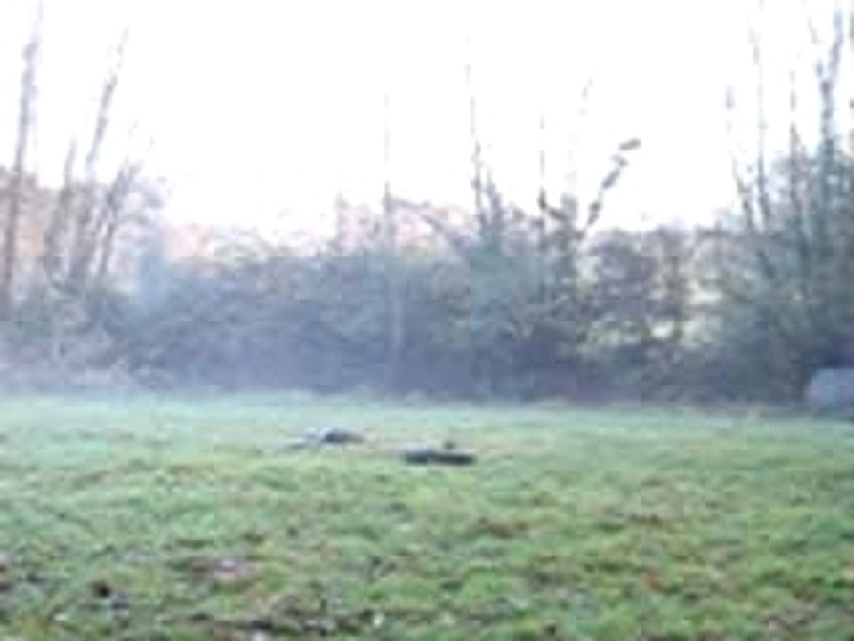 Polen barre au sol trot