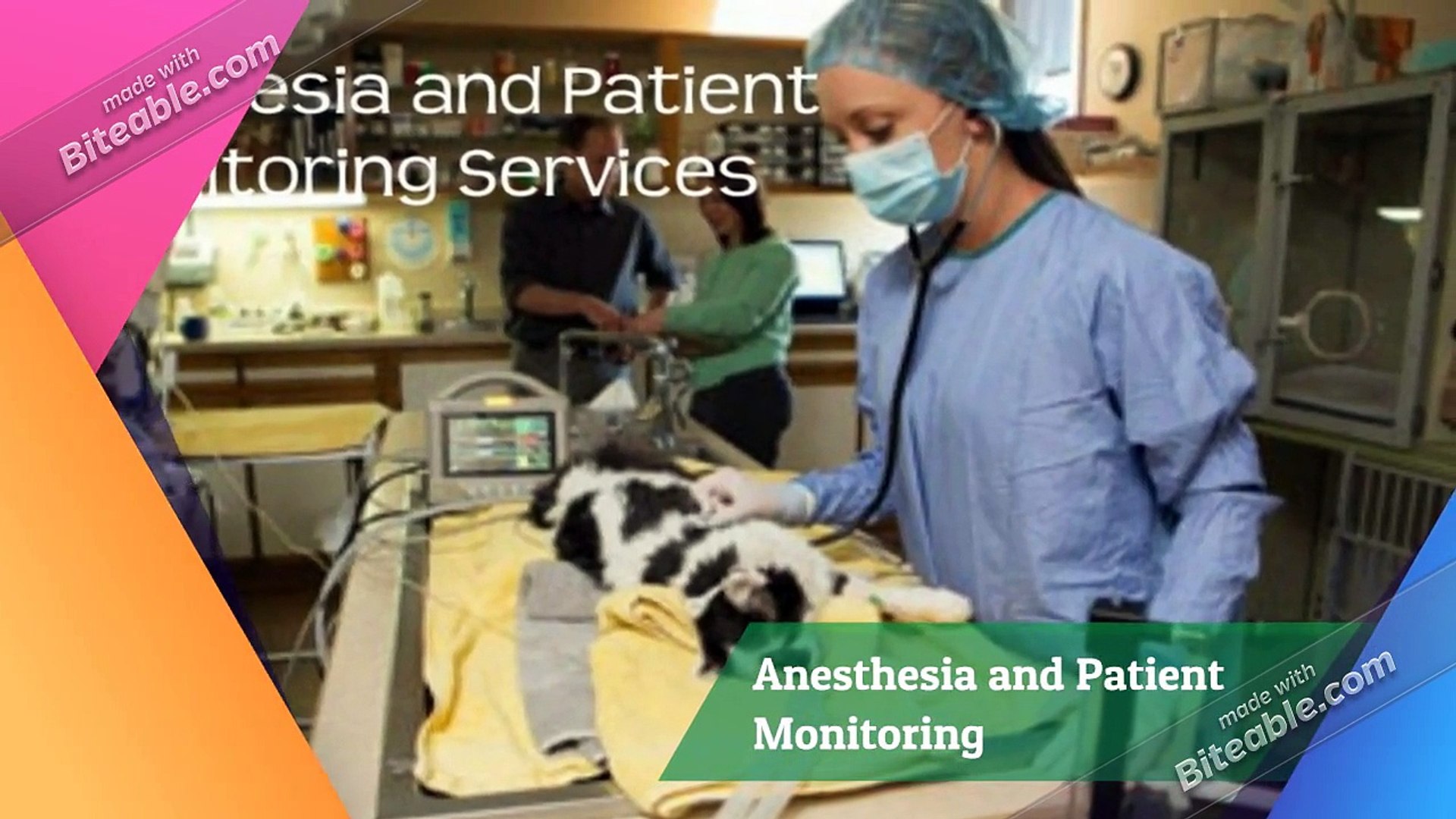⁣Professional Veterinary Clinic Mississauga