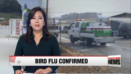 Highly pathogenic strain of avian influenza confirmed in Yeongam