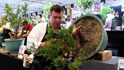 Tony Tickle styles a Juniper Bonsai at BWB-J4cYvOyWulw