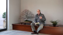 Trasplante y poda raíces de Bonsai, Luis Vallejo-gSIjDwq2wig