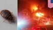 Woman's bed bug extermination attempt results in building fire