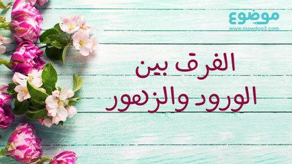 الورود و الزهور