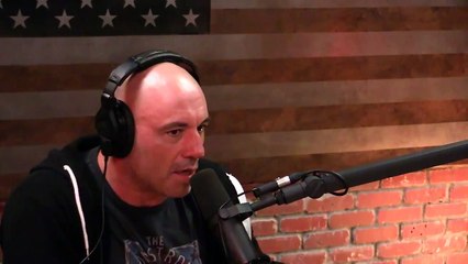 Joe Rogan on Police Brutality
