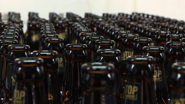 Pour éviter le gaspillage, ils transforment le pain en bière