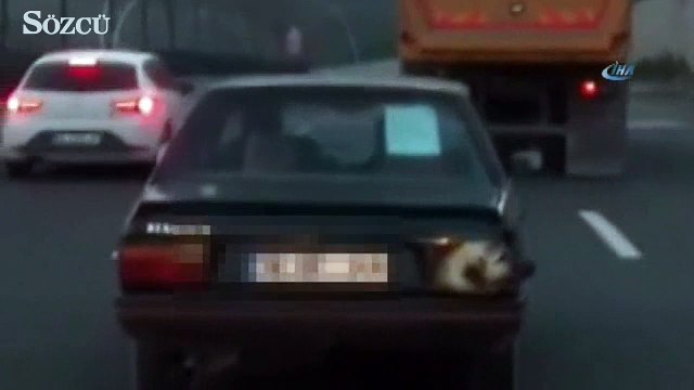 Başkentte şaşırtan görüntü