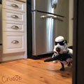 Un chien teckel avec un déguisement de stormtrooper