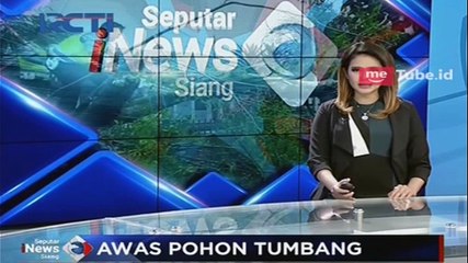 Cegah Korban, Pemprov DKI Akan Tebang Pohon Rentan Tumbang