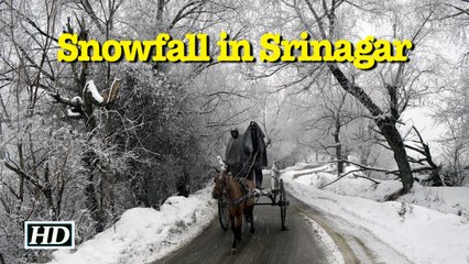 Srinagar gets season's first snowfall