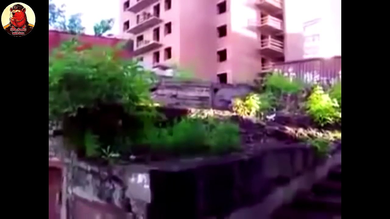 Russian Fail Compilation 2016 (1 Hour)