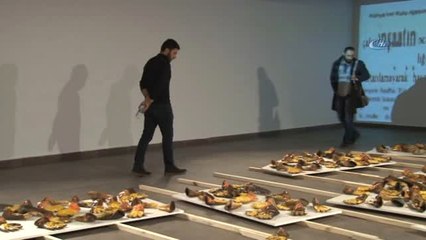 İş Kazalarına Dikkat Çekmek İçin İş Eldivenlerinden Sergi Açıldı