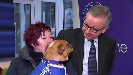 Governments seeks tougher sentences for animal cruelty