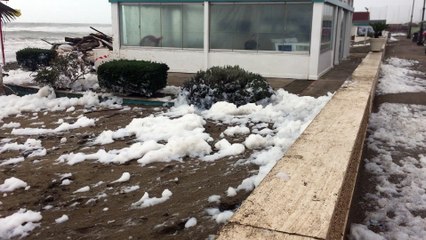 Schiuma sulla spiaggia. Arpa e Capitaneria di Porto intervengono