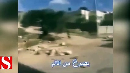 İşgalci İsrail askerlerinin Dünyaya rezil olduğu anlar kamerada