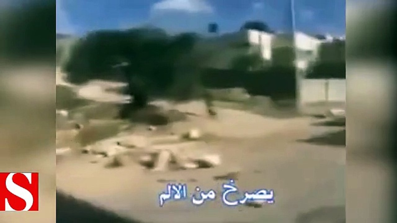 İşgalci İsrail askerlerinin Dünyaya rezil olduğu anlar kamerada