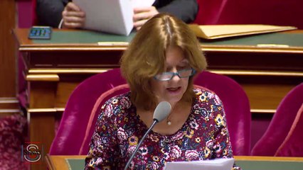 QAG de Sylvie Robert du 14 décembre 2017