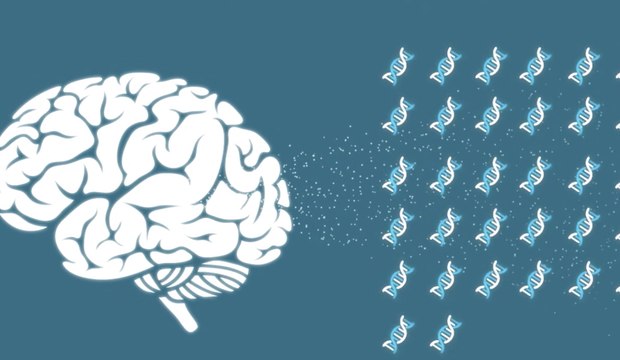Los 52 genes que comparten las personas más inteligentes