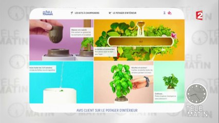 Des kits pour cultiver ses aromates