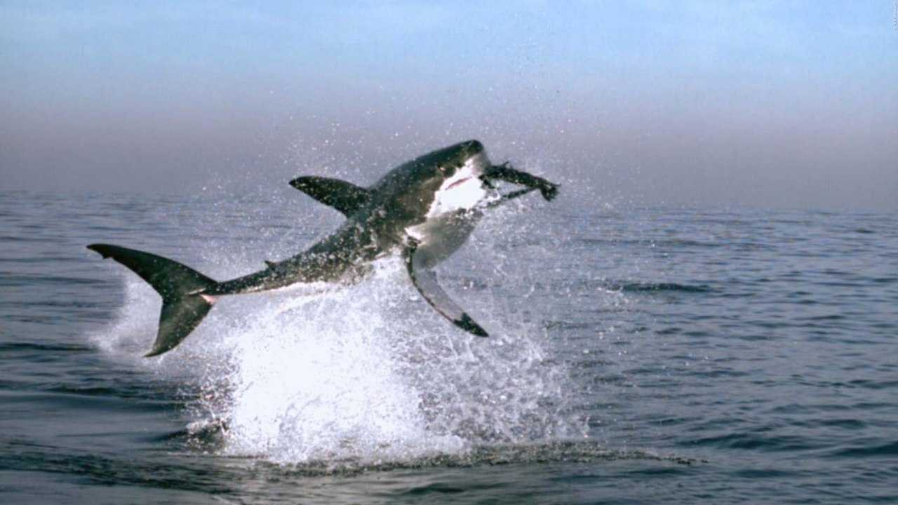 UNSERE ERDE 2 Trailer German Deutsch (2018) HD