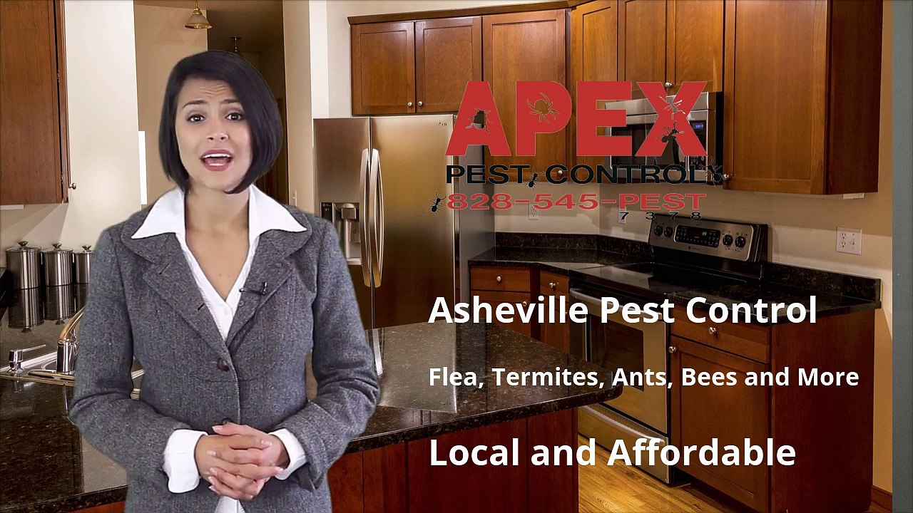 Pest Control Services