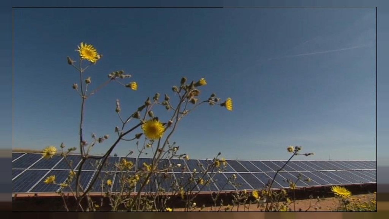 COP 21 two years on