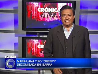 Marihuana tipo creepy decomisada en Ibarra